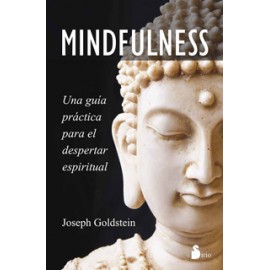 MINDFULNESS: UNA GUIA PRACTICA PARA EL DESPERTAR ESPIRITUAL