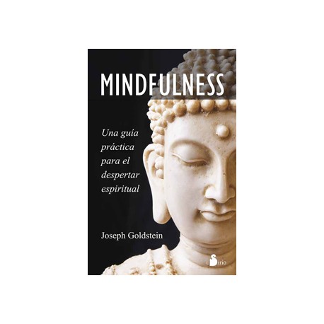 MINDFULNESS: UNA GUIA PRACTICA PARA EL DESPERTAR ESPIRITUAL