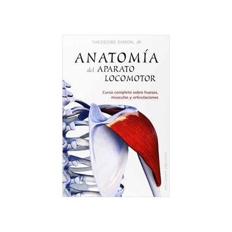ANATOMIA DEL APARATO LOCOMOTOR