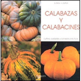 CALABAZAS Y CALABACINES