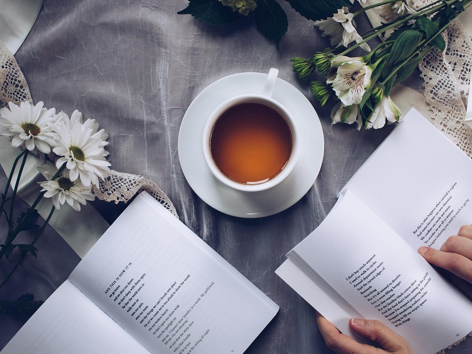 Libros de salud y nutrición